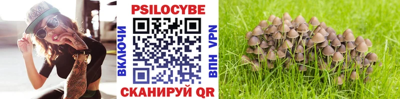 Псилоцибиновые грибы мухоморы darknet какой сайт Кремёнки