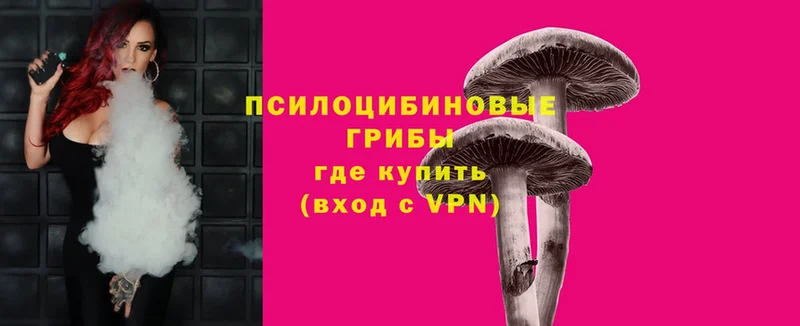 Псилоцибиновые грибы мухоморы Кремёнки